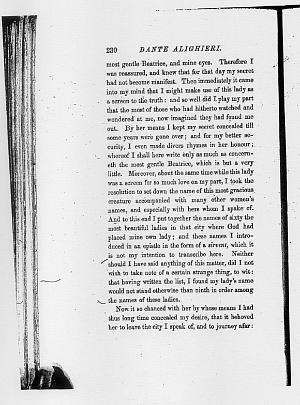 image of page 230