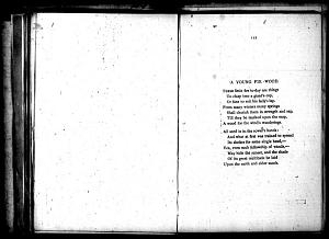 image of page [116 verso]