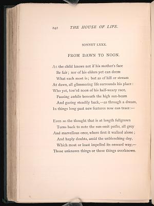 image of page 242