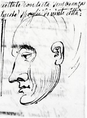 Profile of Man's Face