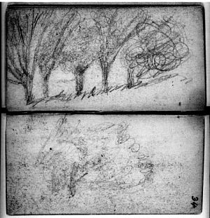 Sketch of Trees